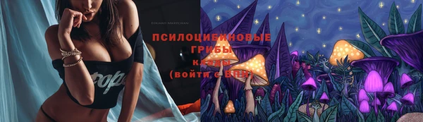 гашик Белокуриха