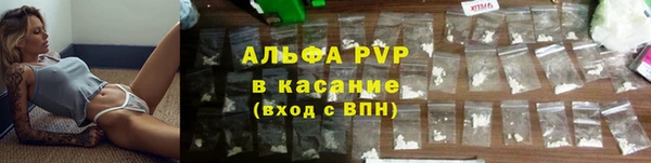 гашик Белокуриха