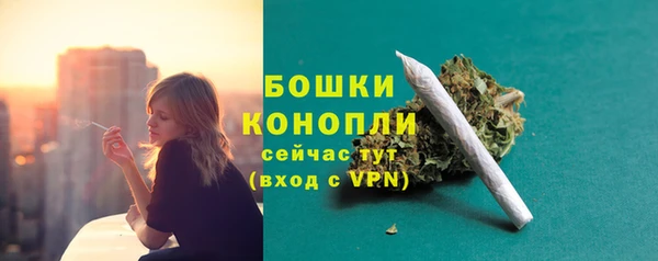 гашик Белокуриха