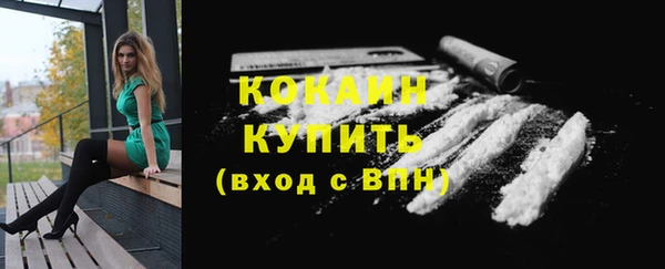 гашик Белокуриха