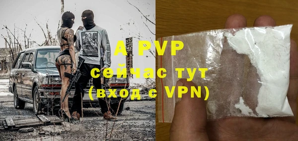 гашик Белокуриха