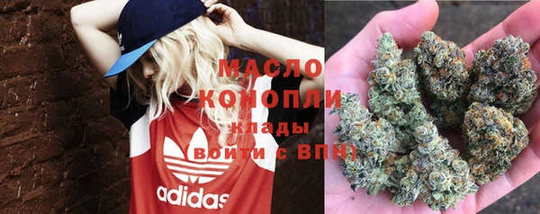 гашик Белокуриха
