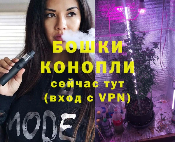 гашик Белокуриха