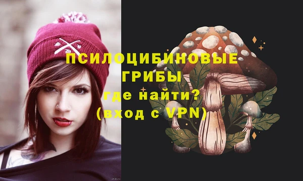 гашик Белокуриха