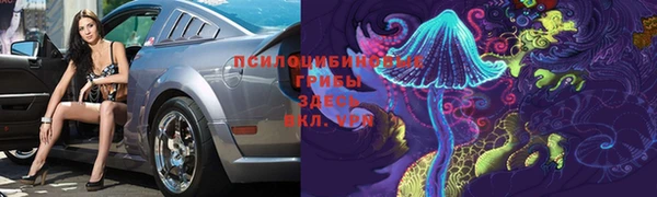 ешки Белоозёрский