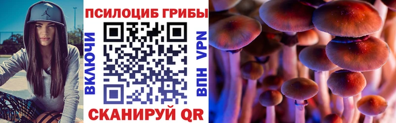 mega вход  Волосово  Галлюциногенные грибы MAGIC MUSHROOMS  где купить наркотик 